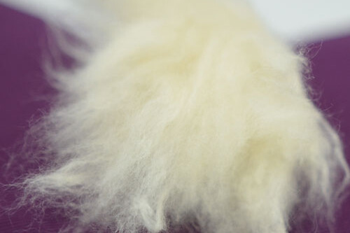 OOO-Meditationskudde Crescent Zafu Kapok - Burgundy